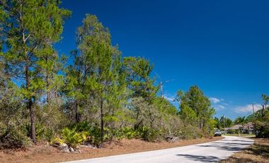 Sitio en Venta en Lake Placid