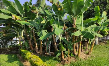 FINCA VILLARICA