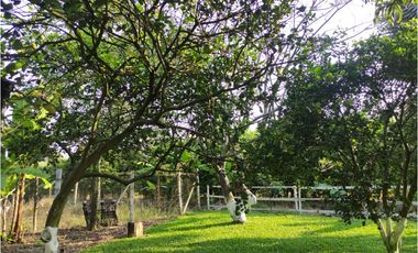 FINCA VILLARICA