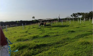 FINCA VILLARICA