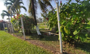 FINCA VILLARICA
