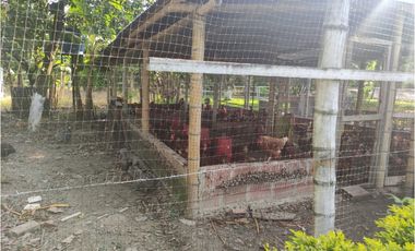 FINCA VILLARICA