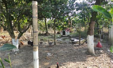 FINCA VILLARICA