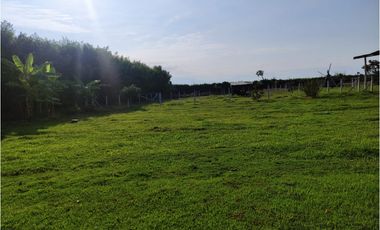 FINCA VILLARICA