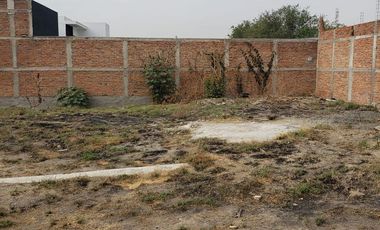 TERRENO EN RENTA CERCA DE NUEVO PERIFÉRICO ORIENTE CAMINO A COLIMILLA TONALA