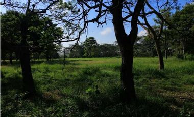 VENTA DE FINCA EN MONTERIA, MONTERIA
