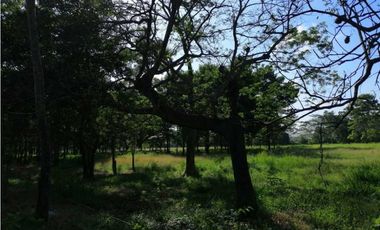 VENTA DE FINCA EN MONTERIA, MONTERIA