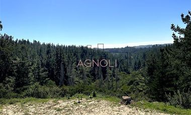 Sitio en Venta en bajo el azul, el chorrillo