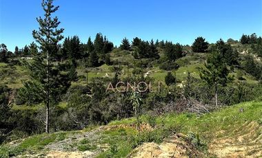 Sitio en Venta en bajo el azul, el chorrillo
