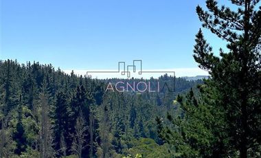 Sitio en Venta en bajo el azul, el chorrillo