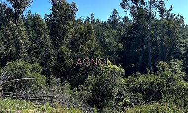 Sitio en Venta en bajo el azul, el chorrillo