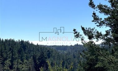 Sitio en Venta en bajo el azul, el chorrillo