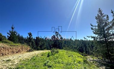 Sitio en Venta en bajo el azul, el chorrillo