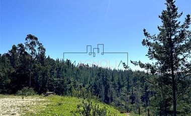 Sitio en Venta en bajo el azul, el chorrillo