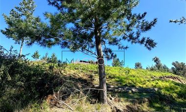 Sitio en Venta en bajo el azul, el chorrillo