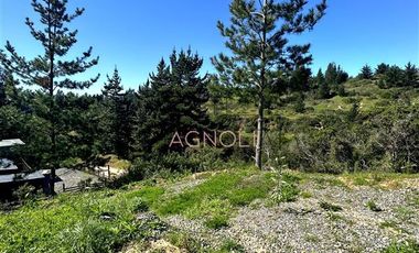 Sitio en Venta en bajo el azul, el chorrillo