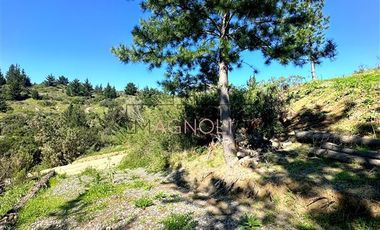 Sitio en Venta en bajo el azul, el chorrillo