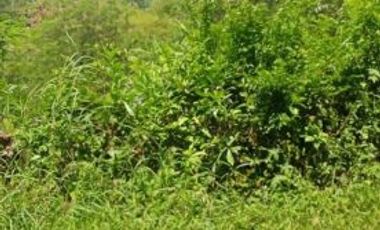 Tanah murah 20ha Cipatat Padalarang dekat gua pawon