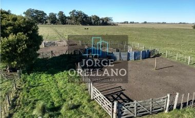 VENTA DE CAMPO EN CORONEL VIDAL 176 HAS PRODUCCION AGRICOLA Y GANADERA