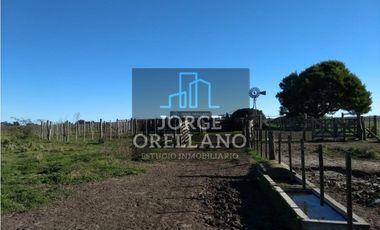 VENTA DE CAMPO EN CORONEL VIDAL 176 HAS PRODUCCION AGRICOLA Y GANADERA