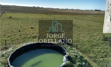VENTA DE CAMPO EN CORONEL VIDAL 176 HAS PRODUCCION AGRICOLA Y GANADERA