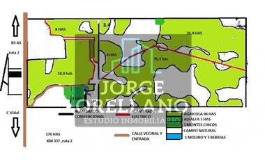 VENTA DE CAMPO EN CORONEL VIDAL 176 HAS PRODUCCION AGRICOLA Y GANADERA