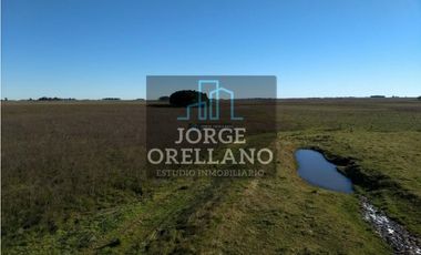 VENTA DE CAMPO EN CORONEL VIDAL 176 HAS PRODUCCION AGRICOLA Y GANADERA