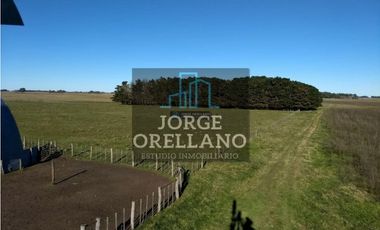 VENTA DE CAMPO EN CORONEL VIDAL 176 HAS PRODUCCION AGRICOLA Y GANADERA