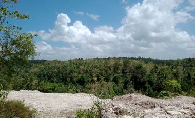 RUMAH PALING LARIS DALAM PERUMAHAN DI PAJANGAN BANTUL