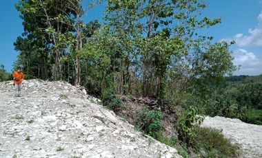 RUMAH PALING LARIS DALAM PERUMAHAN DI PAJANGAN BANTUL