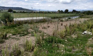 RENTA DE PLANTA CON 700 MTS. EN ZEMPOALA CON NORMATIVA ALIMENTARIA