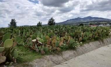 RENTA DE PLANTA CON 700 MTS. EN ZEMPOALA CON NORMATIVA ALIMENTARIA