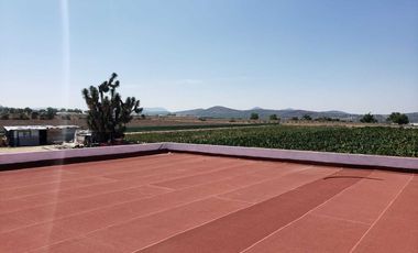 RENTA DE PLANTA CON 700 MTS. EN ZEMPOALA CON NORMATIVA ALIMENTARIA