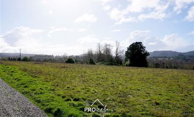 Sitio en Venta en Venta Parcelas en Condominio Lomas del Trebol, acceso Ruta 5S, 5.000 m2, Paillaco, Valdivia