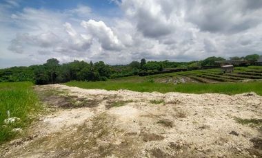 Tanah Kavling 500m2 Los Sungai View Sawah di Tiying Tutul Canggu