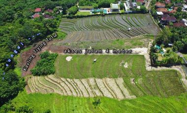 Tanah Kavling 500m2 Los Sungai View Sawah di Tiying Tutul Canggu