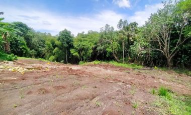Tanah Kavling 500m2 Los Sungai View Sawah di Tiying Tutul Canggu