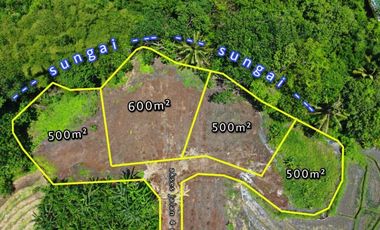 Tanah Kavling 500m2 Los Sungai View Sawah di Tiying Tutul Canggu