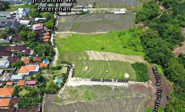 Tanah Kavling 500m2 Los Sungai View Sawah di Tiying Tutul Canggu
