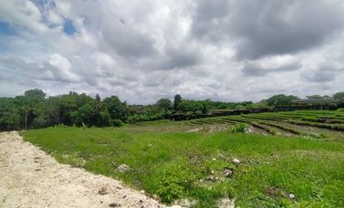 Tanah Kavling 500m2 Los Sungai View Sawah di Tiying Tutul Canggu
