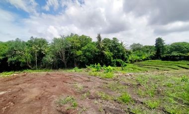 Tanah Kavling 500m2 Los Sungai View Sawah di Tiying Tutul Canggu