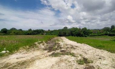 Tanah Kavling 500m2 Los Sungai View Sawah di Tiying Tutul Canggu