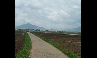 Jual Tanah Perumahan Murah 100 Ha Di Paseh Kota Bandung