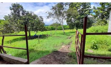 VENDO FINCA DE SEIS HECTAREAS EN ALTO LA MINA -CAIZAN