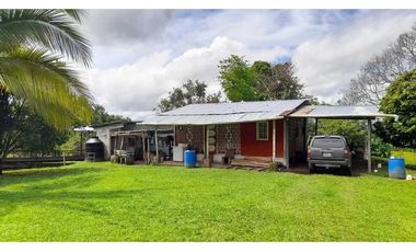 VENDO FINCA DE SEIS HECTAREAS EN ALTO LA MINA -CAIZAN