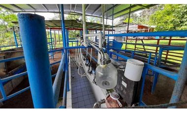 VENDO FINCA DE SEIS HECTAREAS EN ALTO LA MINA -CAIZAN