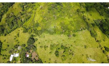 VENDO FINCA DE SEIS HECTAREAS EN ALTO LA MINA -CAIZAN
