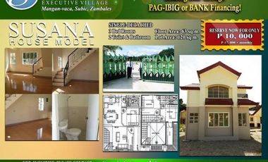 Subic Zambales Susana Executive Village House For Sale