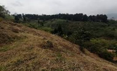 Venta LoteS en Caldas (La Miel) Antioquia