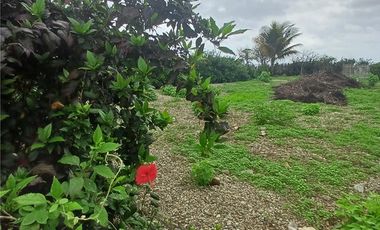 Las Tunas: Se Vende Terreno para Construcción en Zona Rural, Cerca del Mar y Frente al río en Las Tunas